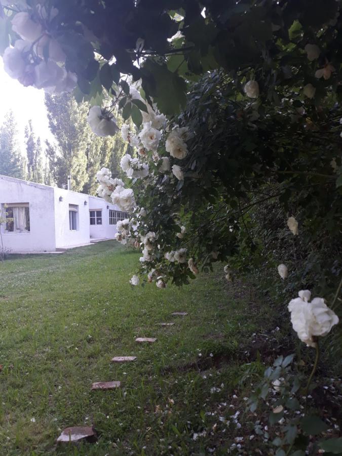 Casa Ramal Lujan de Cuyo